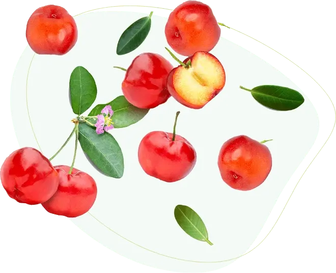 acerola.webp