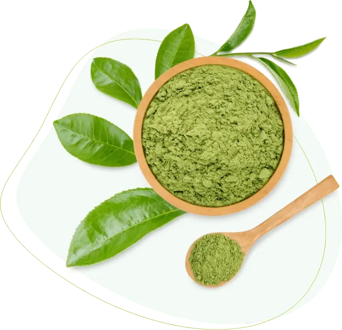 green-tea-matcha-1.webp