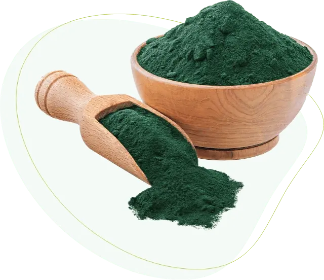 spirulin.webp